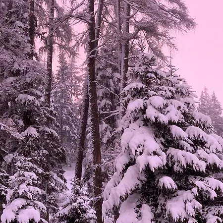 Hotel Dreilanderblick 3*